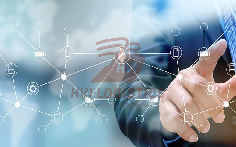 Đội ngũ nhân viên tại HVI Logistics